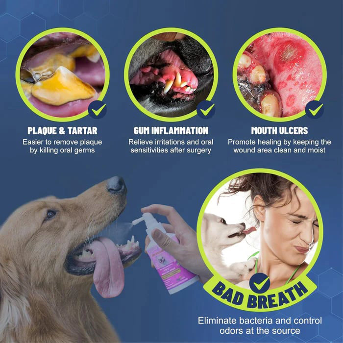 🔥SALE WITH 49% DISCOUNT🔥Teeth Brushing Spray for Dogs and Cats